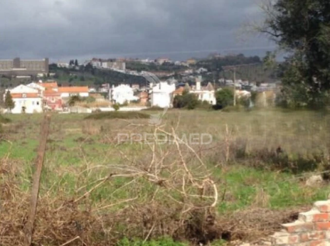 Moradia T9 para Venda em São Miguel do Rio Torto e Rossio Ao Sul do Tejo Foto 10