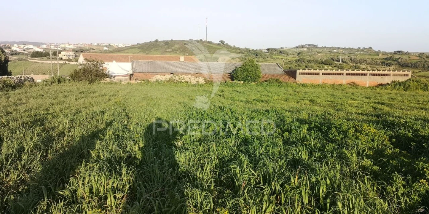 Terreno para Venda em São João das Lampas e Terrugem Foto 8