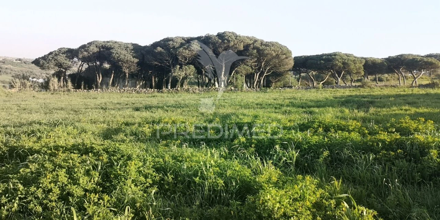 Terreno para Venda em São João das Lampas e Terrugem Foto 9