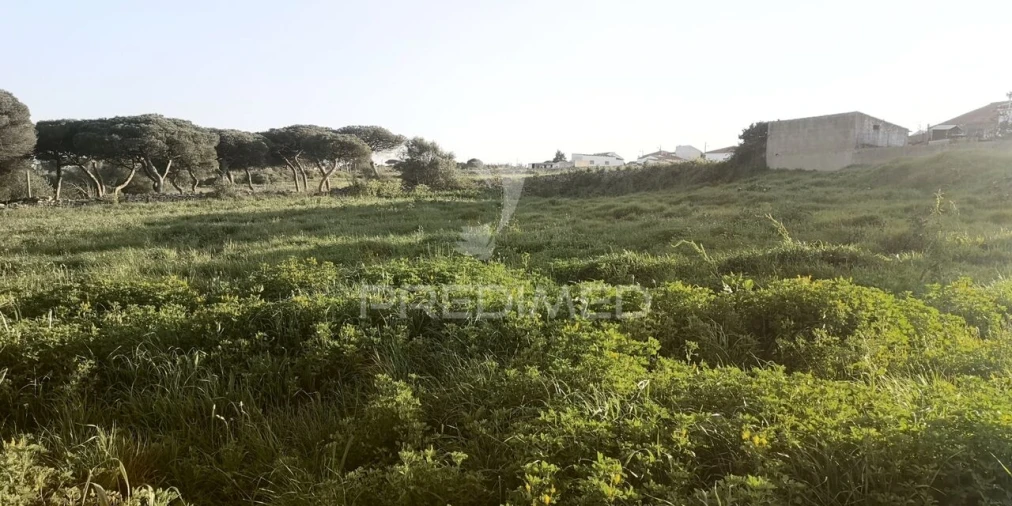 Terreno para Venda em São João das Lampas e Terrugem Foto 10