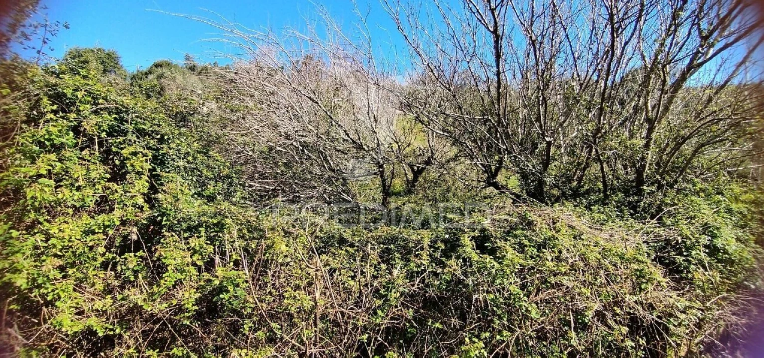 Terreno para Venda em Santa Maria, São Pedro e Matacães Foto 3