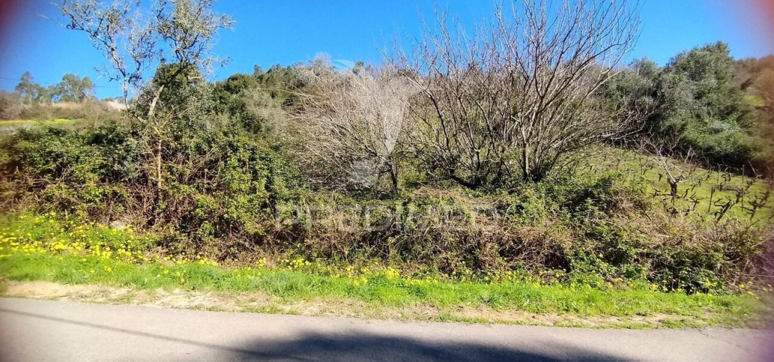 Terreno para Venda em Santa Maria, São Pedro e Matacães Foto 4