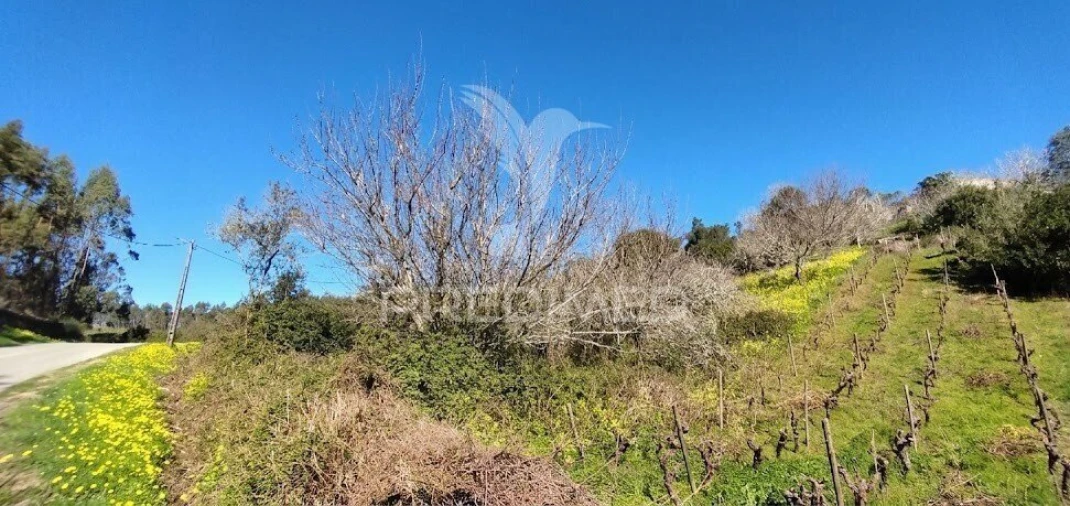 Terreno para Venda em Santa Maria, São Pedro e Matacães