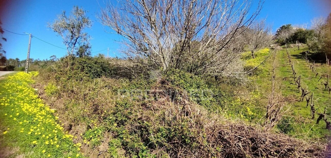 Terreno para Venda em Santa Maria, São Pedro e Matacães Foto 2
