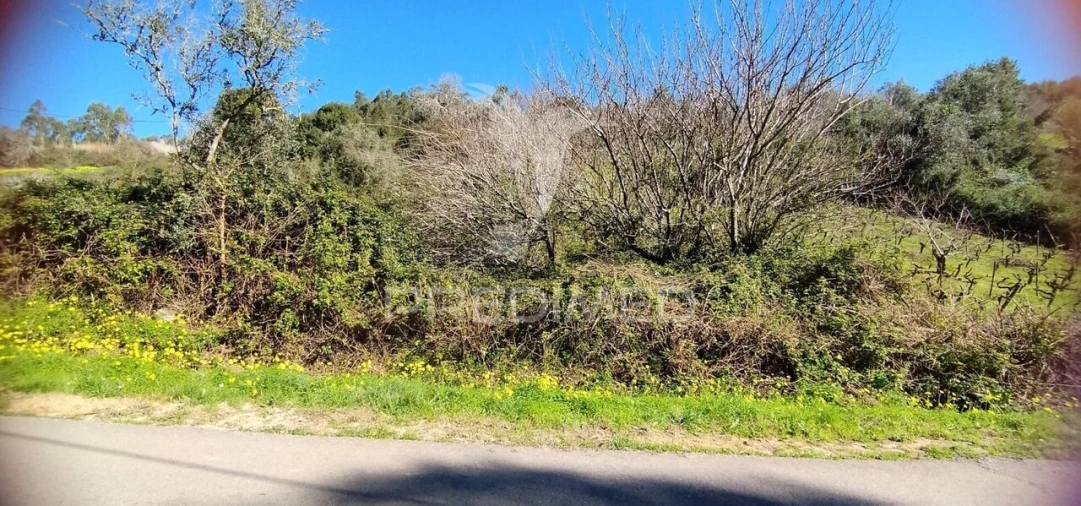 Terreno para Venda em Santa Maria, São Pedro e Matacães Foto 4