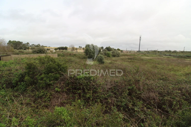 Terreno para Venda em São João das Lampas e Terrugem Foto 5