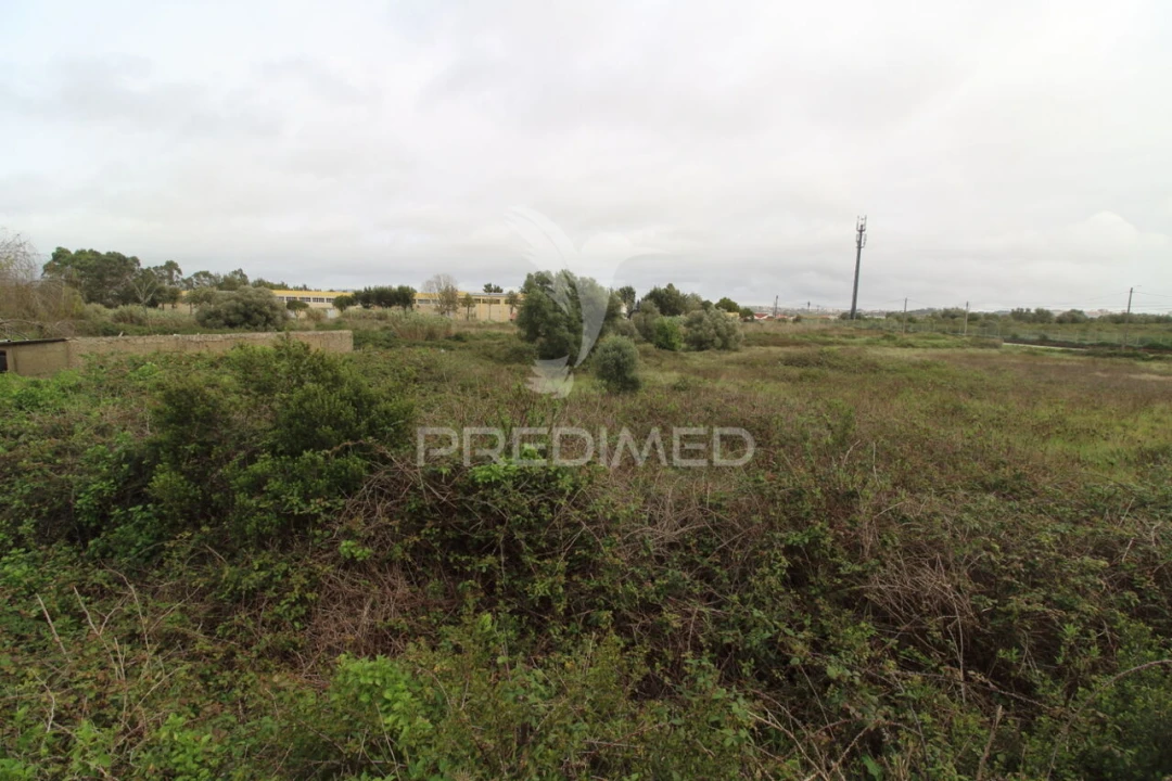 Terreno para Venda em São João das Lampas e Terrugem Foto 5