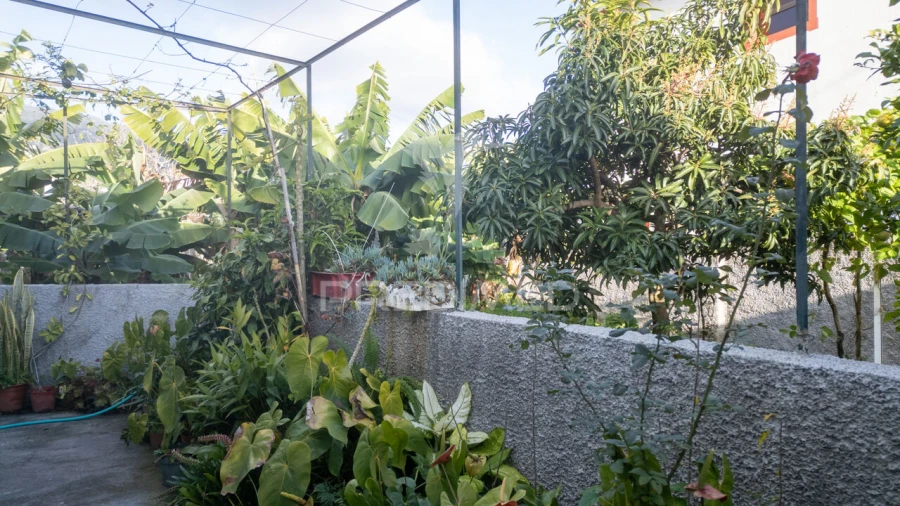 Moradia T3 para Venda em Funchal (São Pedro) Foto 5