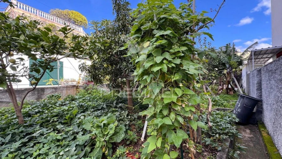 Moradia T3 para Venda em Funchal (São Pedro) Foto 15