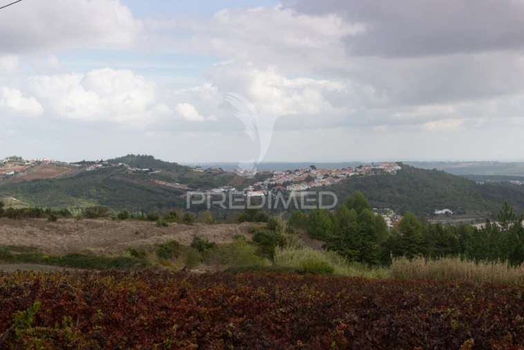 Terreno para Venda em Alenquer (Santo Estêvão e Triana) Foto 4