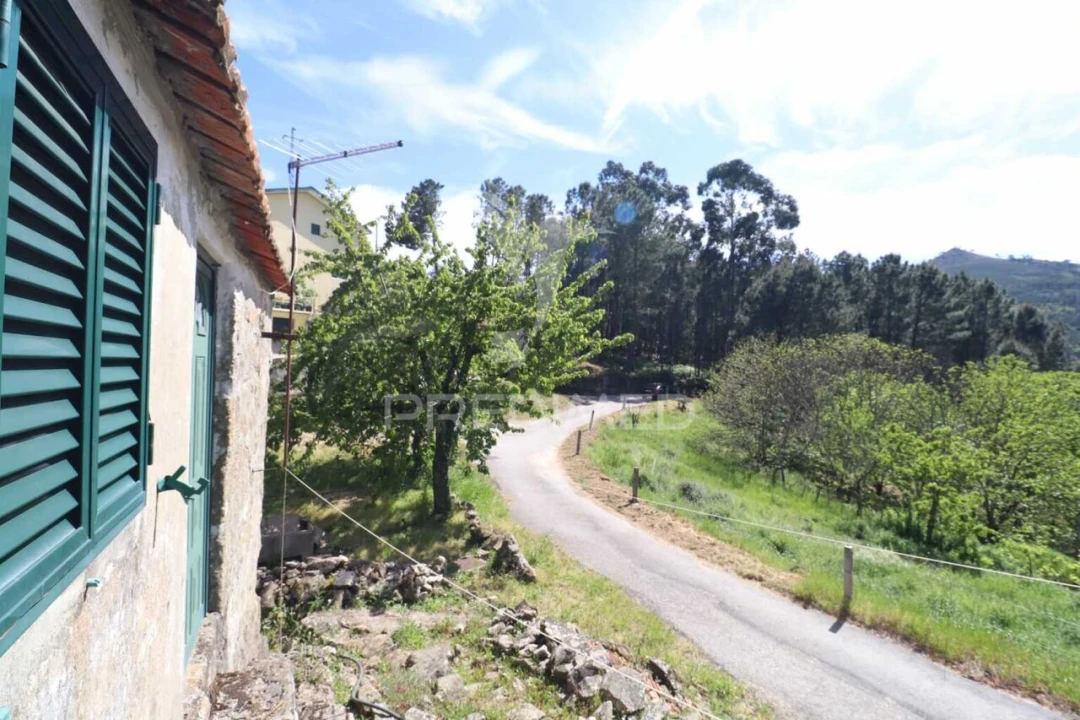 Moradia T1 para Venda em Freigil e Miomães Foto 30