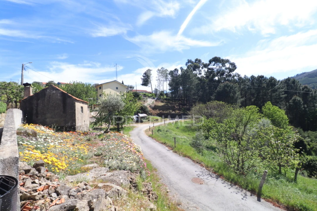 Moradia T1 para Venda em Freigil e Miomães Foto 14