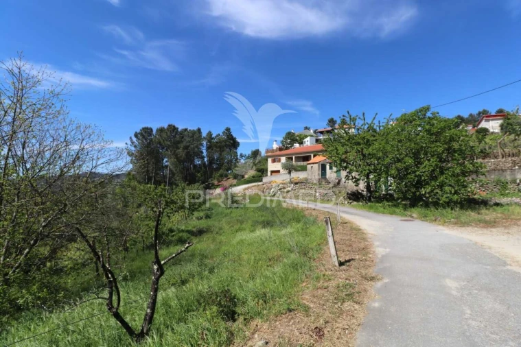 Moradia T1 para Venda em Freigil e Miomães Foto 28