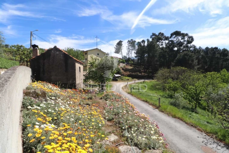 Moradia T1 para Venda em Freigil e Miomães Foto 34