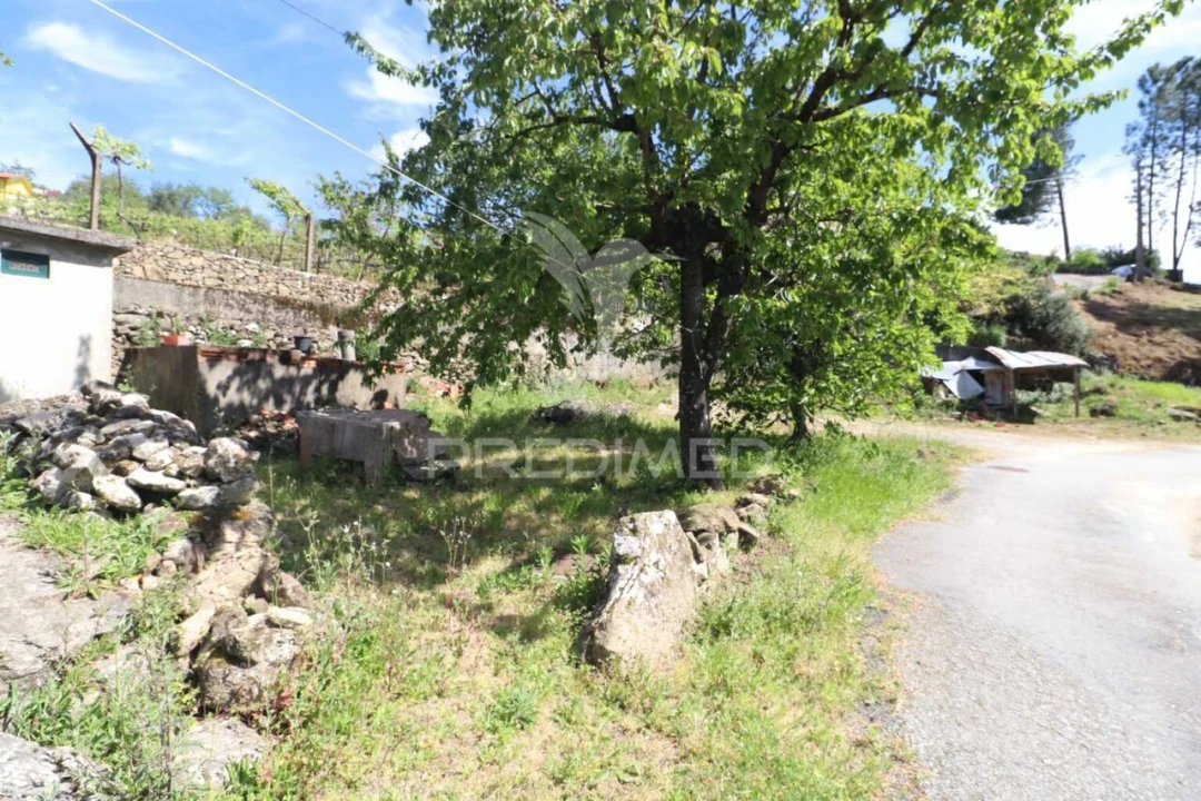 Moradia T1 para Venda em Freigil e Miomães Foto 31