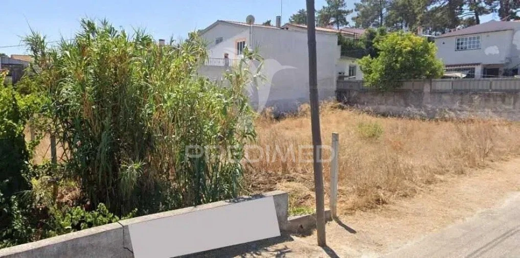 Terreno para Venda em Azeitão (São Lourenço e São Simão) Foto 8