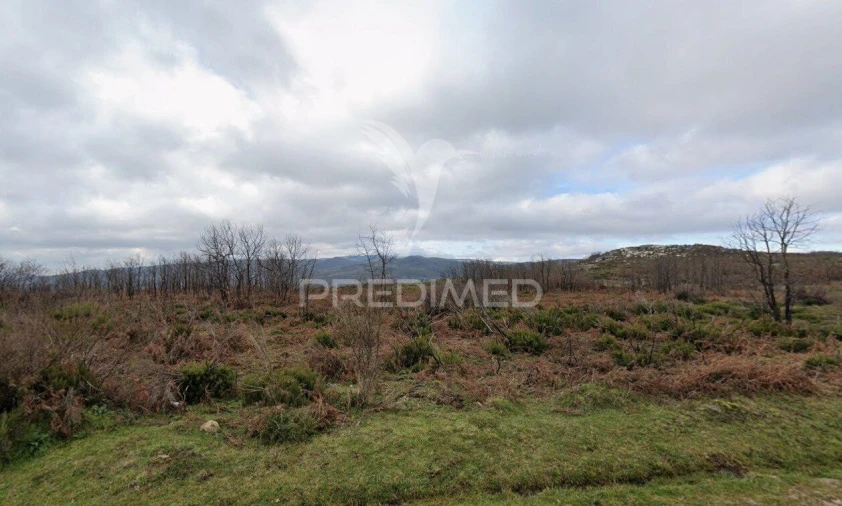 Terreno para Venda em Meixedo e Padornelos Foto 1