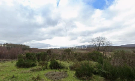 Terreno para Venda em Meixedo e Padornelos