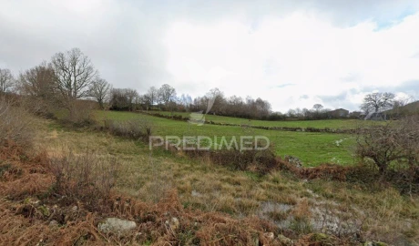 Terreno para Venda em Meixedo e Padornelos