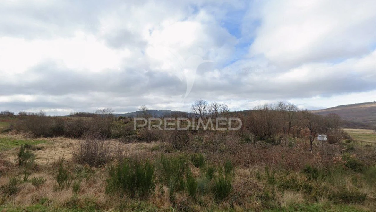 Terreno para Venda em Meixedo e Padornelos Foto 2