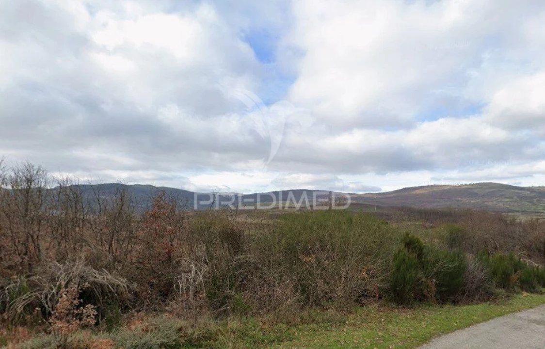 Terreno para Venda em Meixedo e Padornelos Foto 1