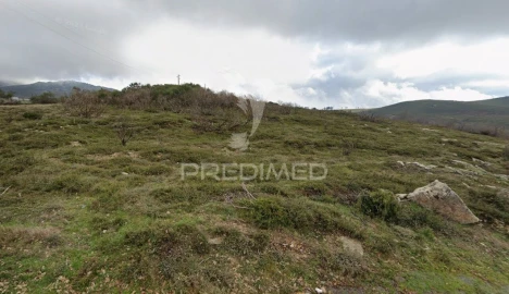 Terreno para Venda em Meixedo e Padornelos