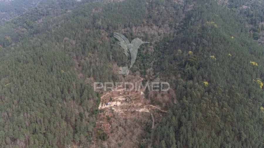 Terreno para Venda em Chamoim e Vilar Foto 32
