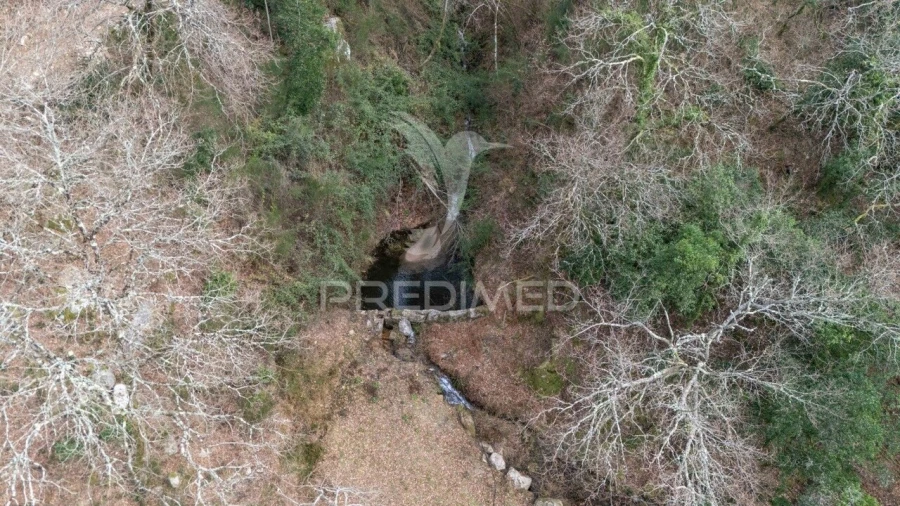 Terreno para Venda em Chamoim e Vilar Foto 24