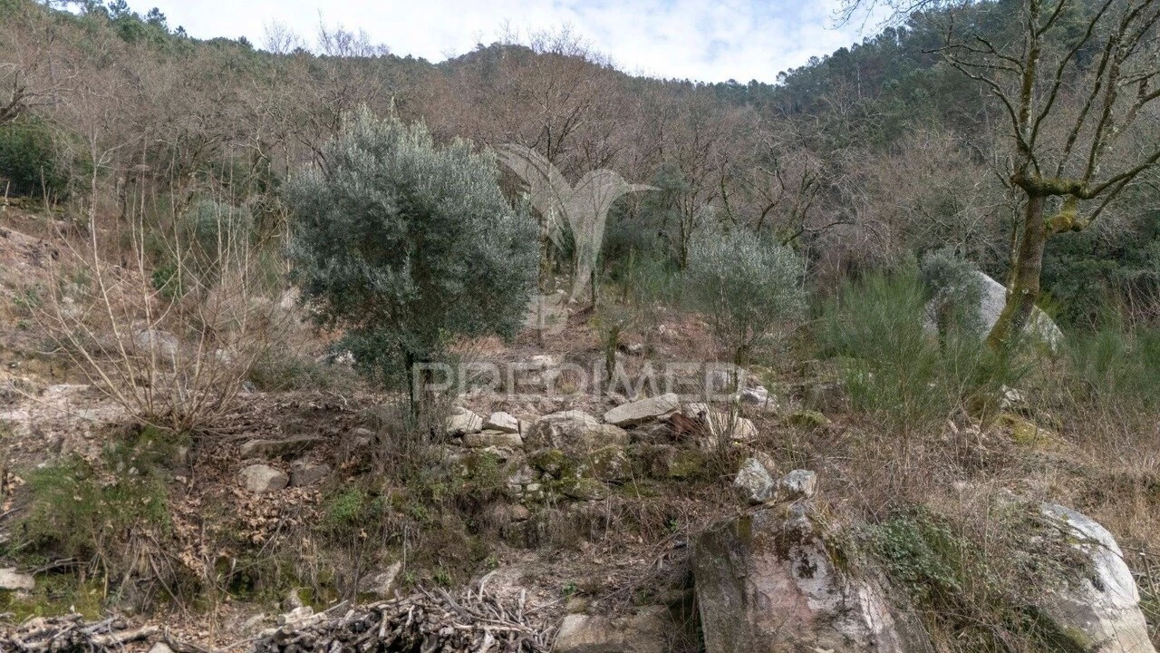 Terreno para Venda em Chamoim e Vilar Foto 25