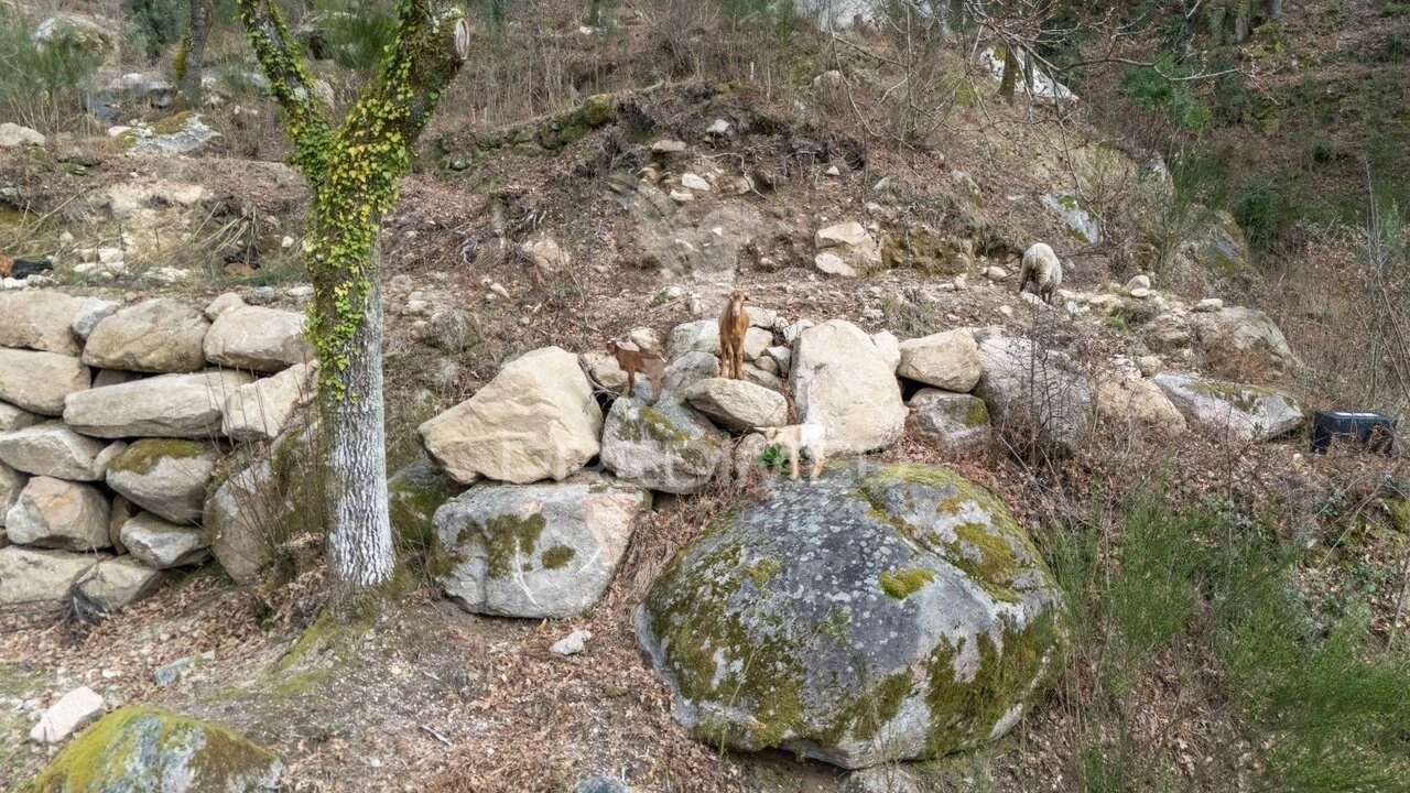 Terreno para Venda em Chamoim e Vilar Foto 17