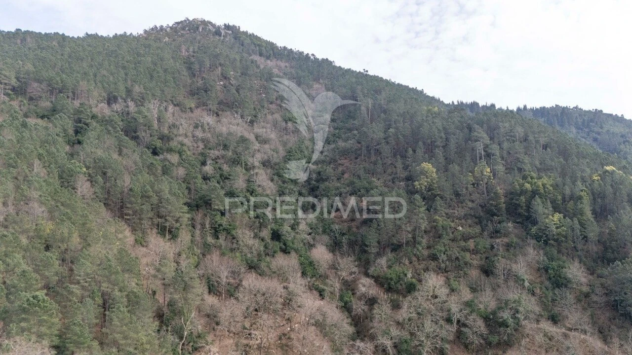 Terreno para Venda em Chamoim e Vilar Foto 36