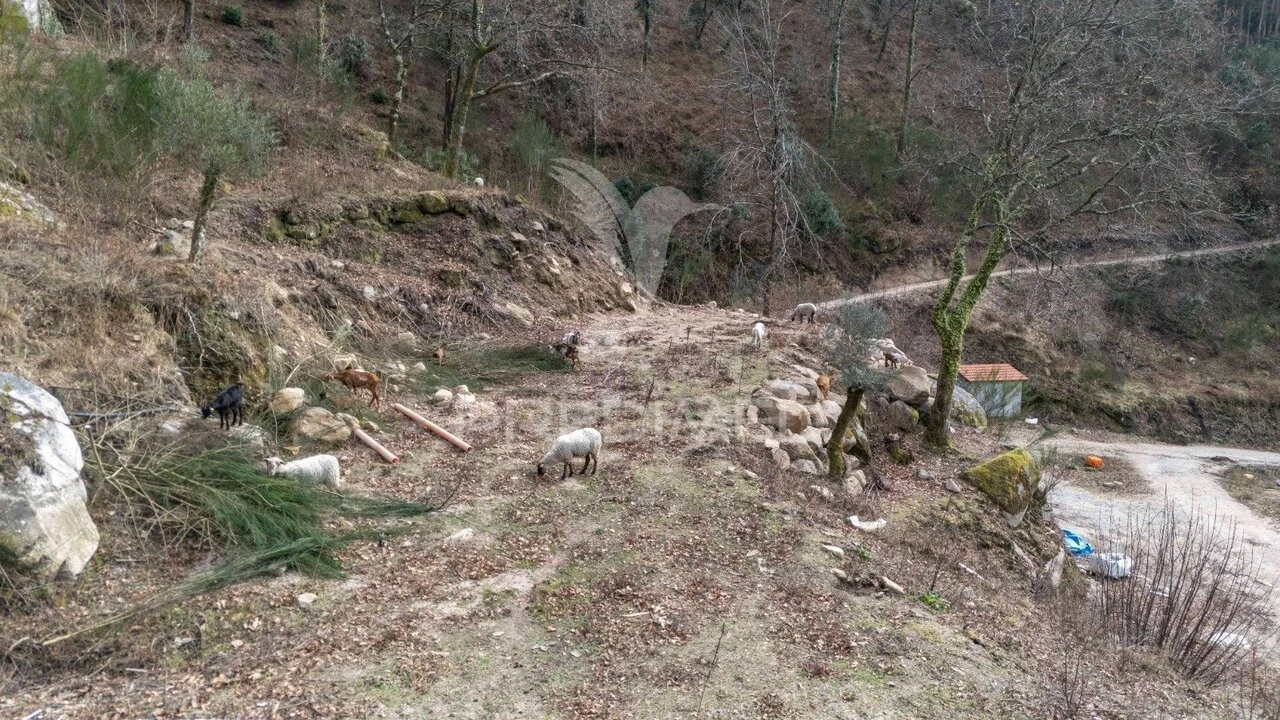 Terreno para Venda em Chamoim e Vilar Foto 21