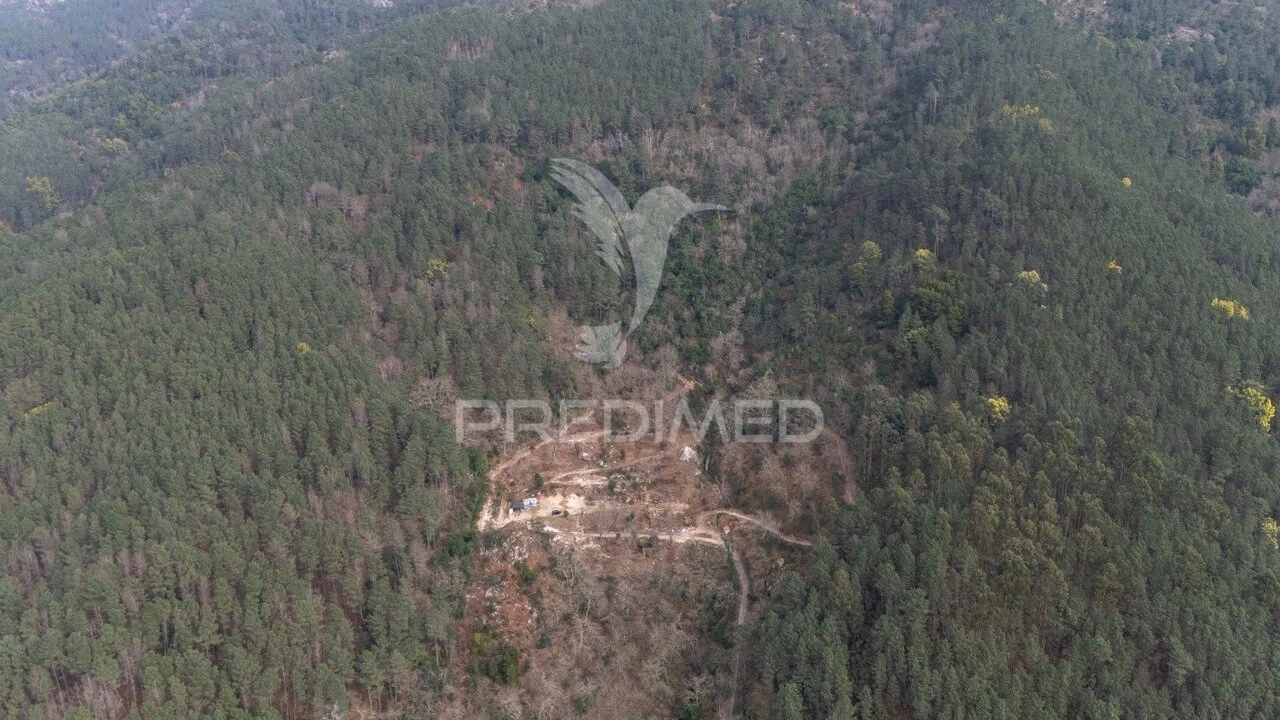 Terreno para Venda em Chamoim e Vilar Foto 32