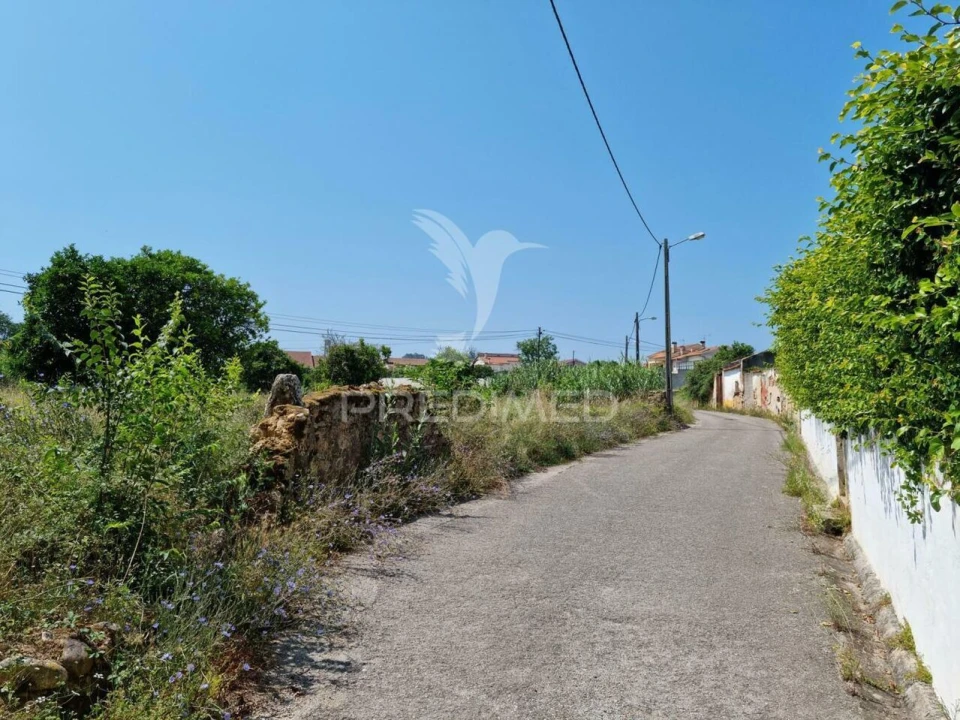 Terreno para Venda em São Martinho do Bispo e Ribeira de Frades Foto 10