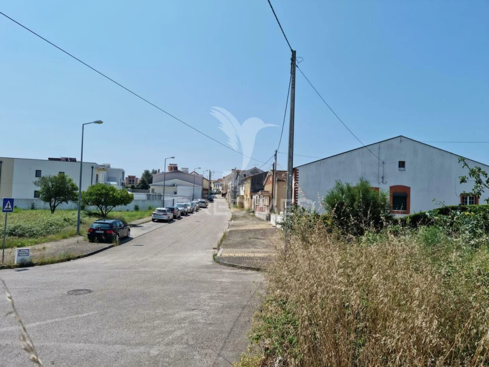 Terreno para Venda em São Martinho do Bispo e Ribeira de Frades Foto 17