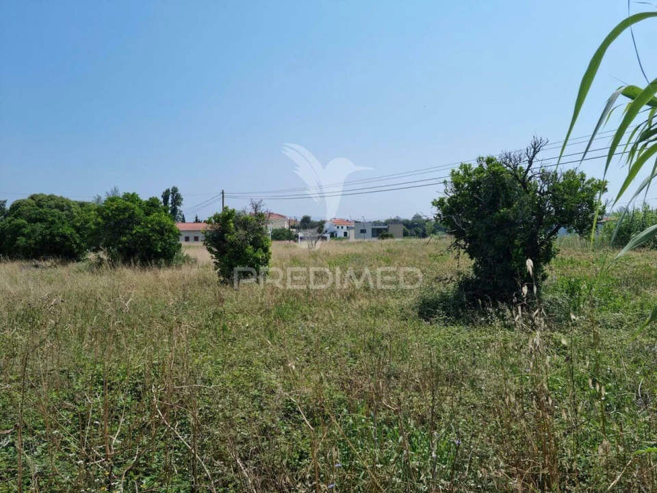 Terreno para Venda em São Martinho do Bispo e Ribeira de Frades Foto 9