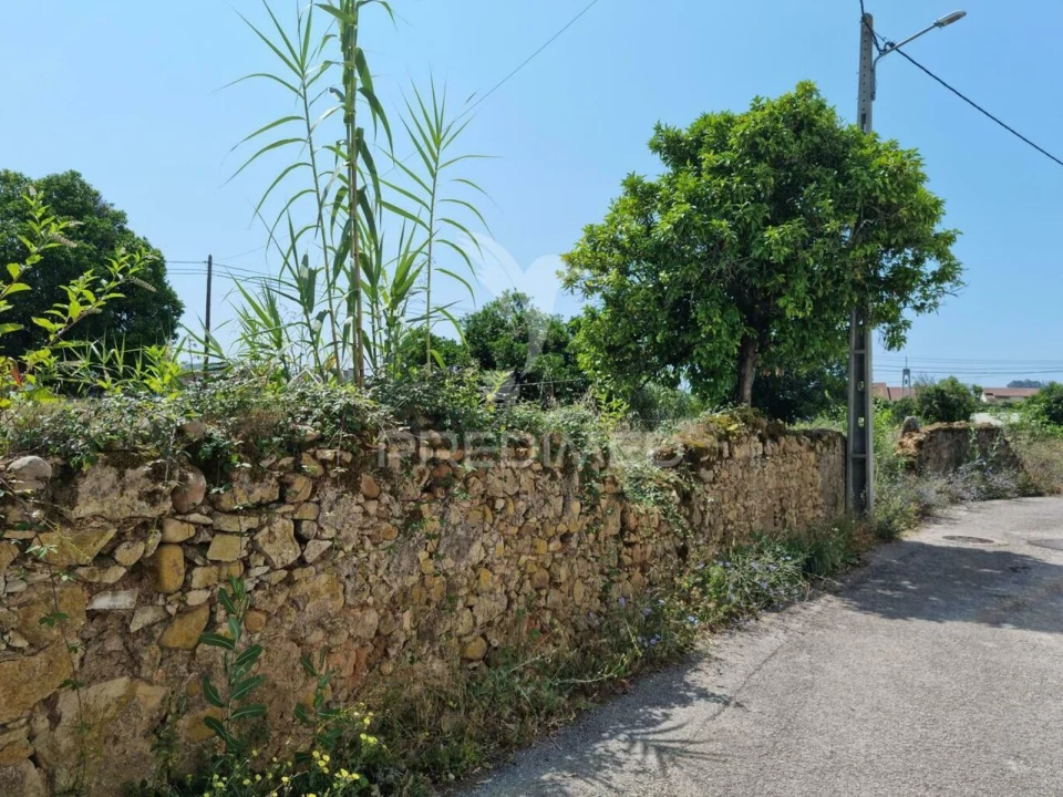 Terreno para Venda em São Martinho do Bispo e Ribeira de Frades Foto 6