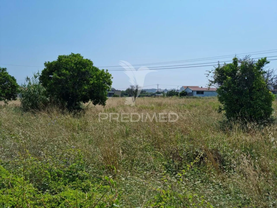 Terreno para Venda em São Martinho do Bispo e Ribeira de Frades Foto 7