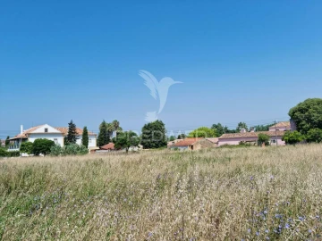 Terreno para Venda em São Martinho do Bispo e Ribeira de Frades