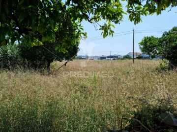Terreno para Venda em São Martinho do Bispo e Ribeira de Frades