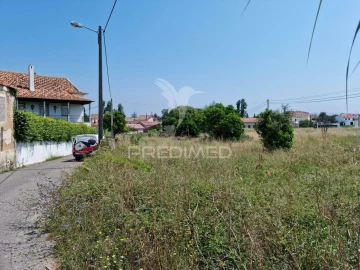 Terreno para Venda em São Martinho do Bispo e Ribeira de Frades