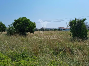 Terreno para Venda em São Martinho do Bispo e Ribeira de Frades