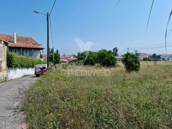 Terreno para Venda em São Martinho do Bispo e Ribeira de Frades Foto 8