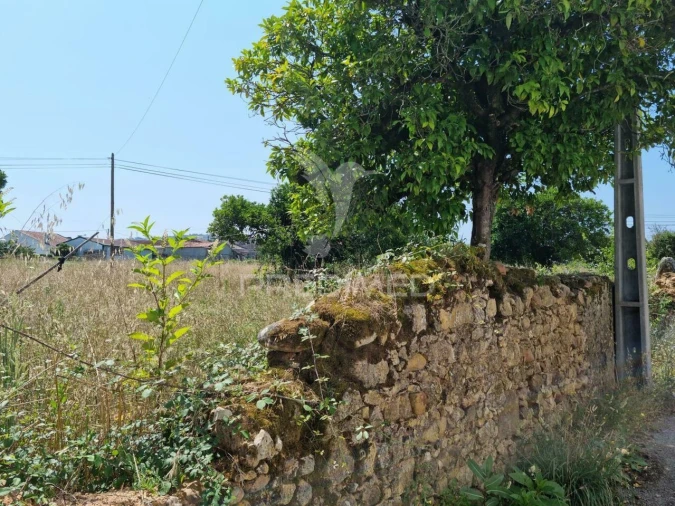 Terreno para Venda em São Martinho do Bispo e Ribeira de Frades Foto 5