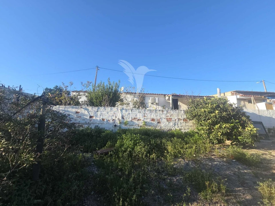 Moradia T3 para Venda em Safara e Santo Aleixo da Restauração Foto 18