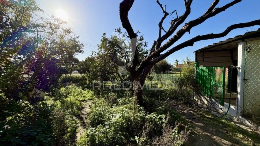 Moradia T4 para Venda em Atalaia e Alto Estanqueiro-Jardia Foto 13