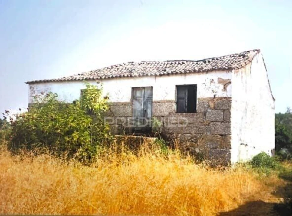 Terreno para Venda em Covas e Vila Nova de Oliveirinha Foto 24