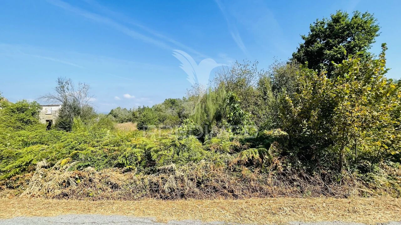 Terreno para Venda em Covas e Vila Nova de Oliveirinha Foto 12