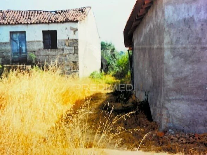 Terreno para Venda em Covas e Vila Nova de Oliveirinha Foto 23