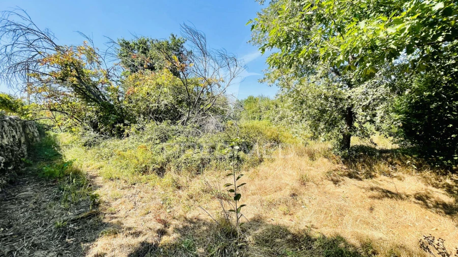 Terreno para Venda em Covas e Vila Nova de Oliveirinha Foto 22